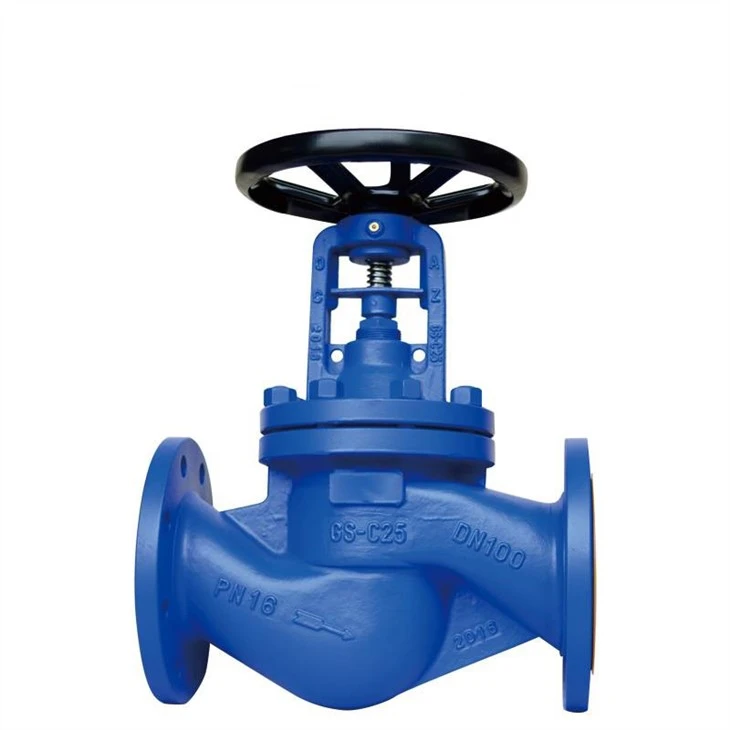 bellow-globe-valve01